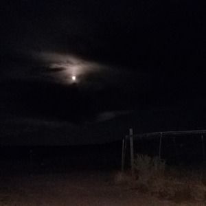 Meet your Posher, Rhonda